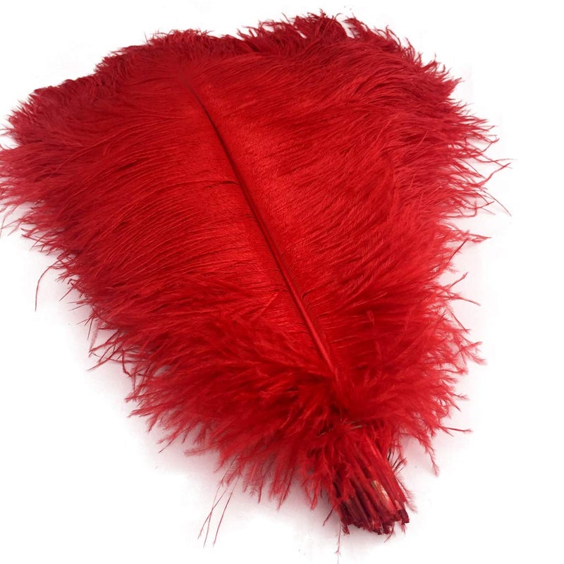 Shekyeon 16-18inch Red Ostrich Feathers DIY Craft Large Feather for Wedding Party Centerpicecs Flower Arrangement and Easter Gatsbi Decortion Pack of 10 - Image 1